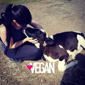 Meet your Posher, Jolene